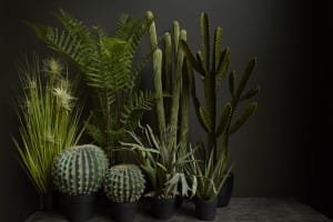 AbiFlowDec15_005_0194