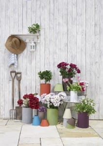 Shades & Plant Pots