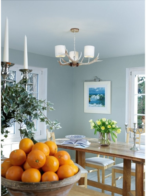 Antler ceiling lights