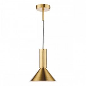 natural brass spotlight pendant or wall light