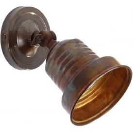 SUCRE traditional aged brass adjustable wall or ceiling spotlight