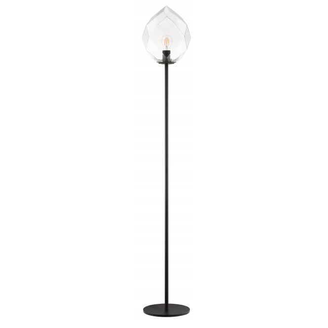 ZOE 1 Light Floor Clear Glass Black